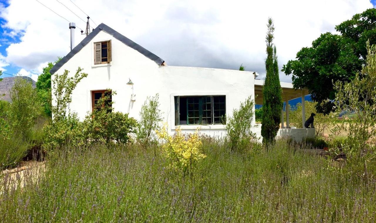 Designer Farm Cottage On Farm Franschhoek Exterior photo